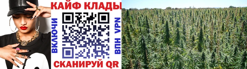 Наркошоп купить Канабис  Мефедрон  АМФ  ГАШ  Бутират  APVP  Сусуман