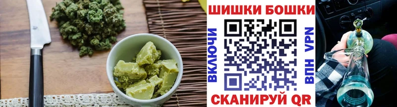 Купить  Сусуман  Canna-Cookies марихуана 
