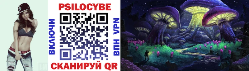 Псилоцибиновые грибы Psilocybe  Купить закладки  Сусуман 